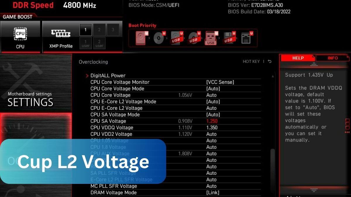 Cup L2 Voltage