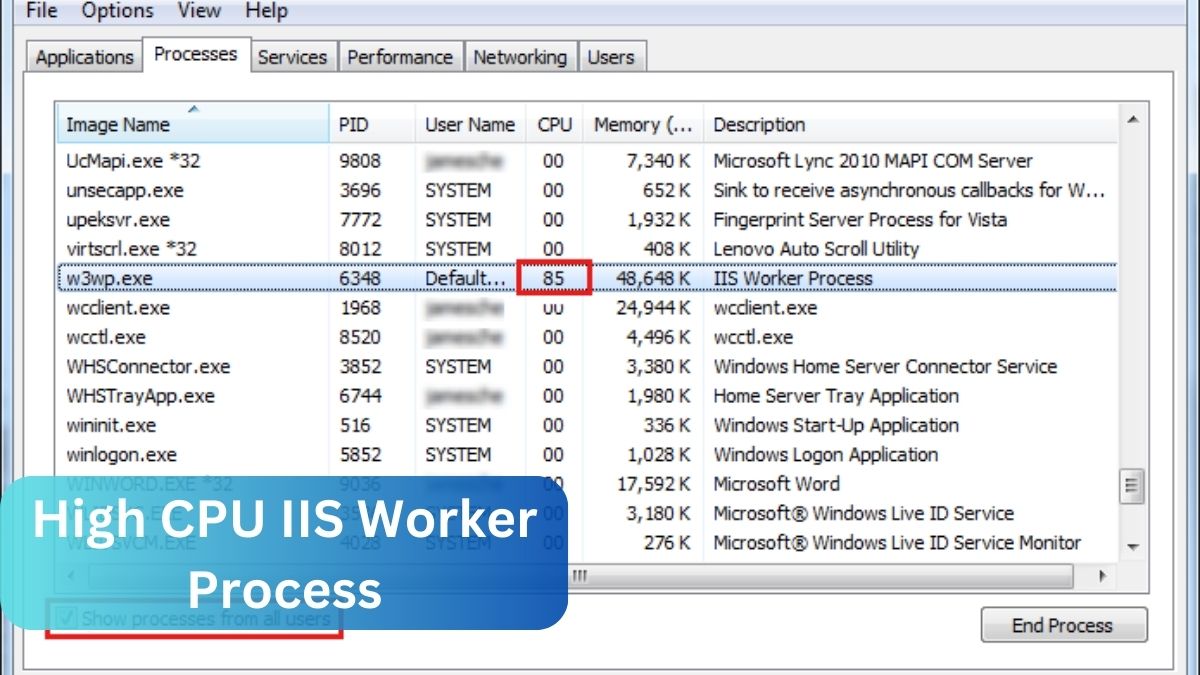 High CPU IIS Worker Process