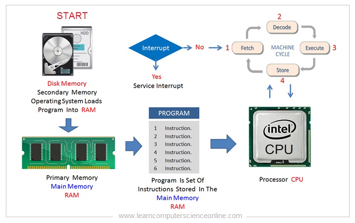 Components of a CPU Cycle