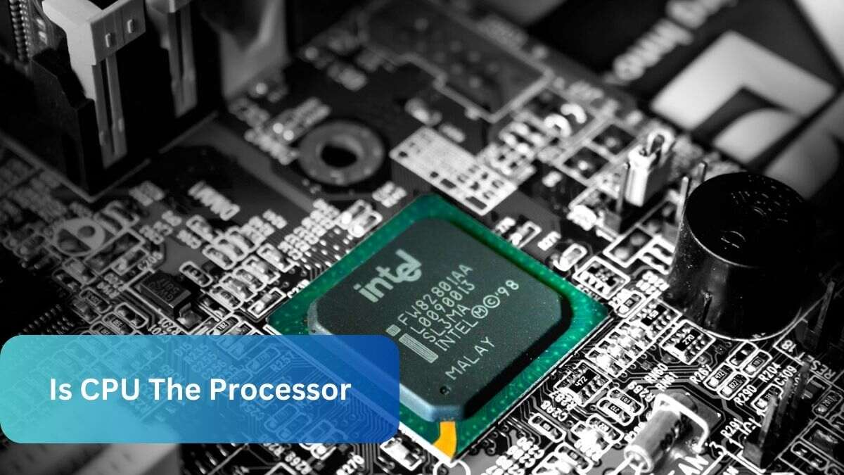 Is CPU The Processor