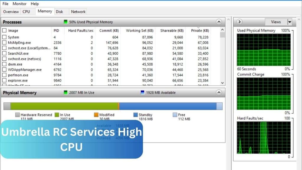 Umbrella RC Services High CPU