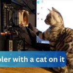 CPU Cooler with a Cat on It – A Fun and Functional Cooling Solution 2025!