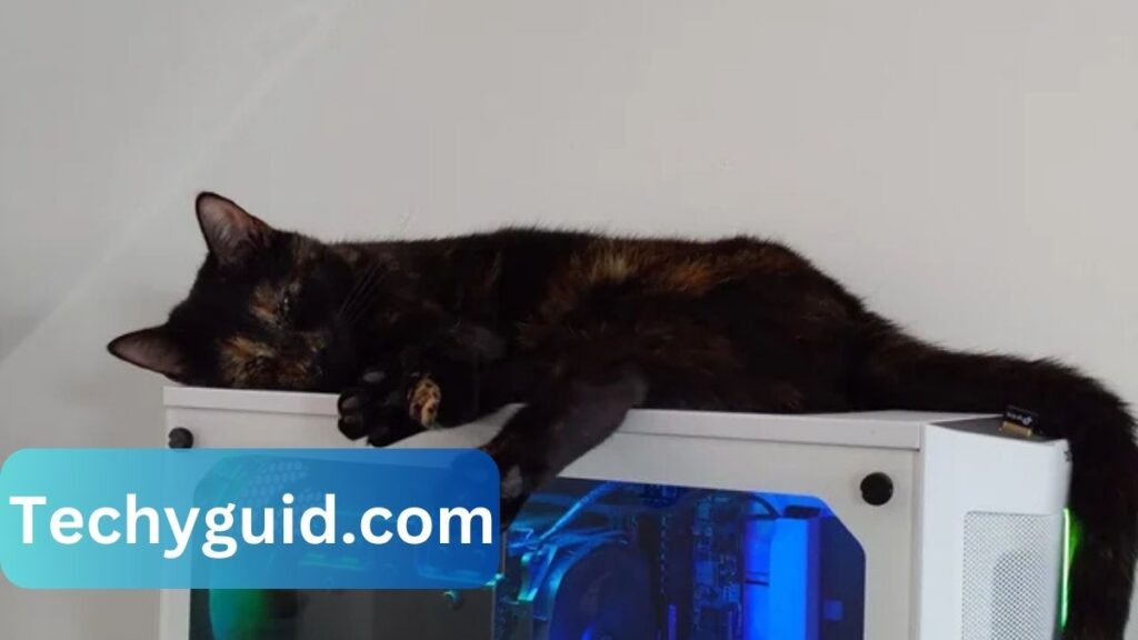 cpu cooler with a cat on it