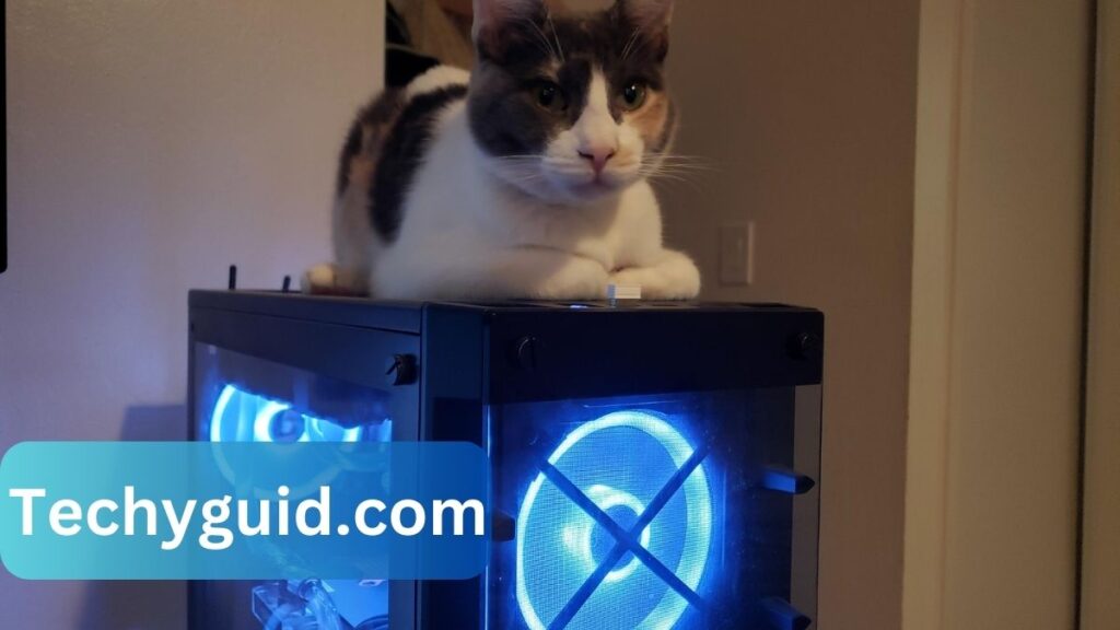 cpu cooler with a cat on it